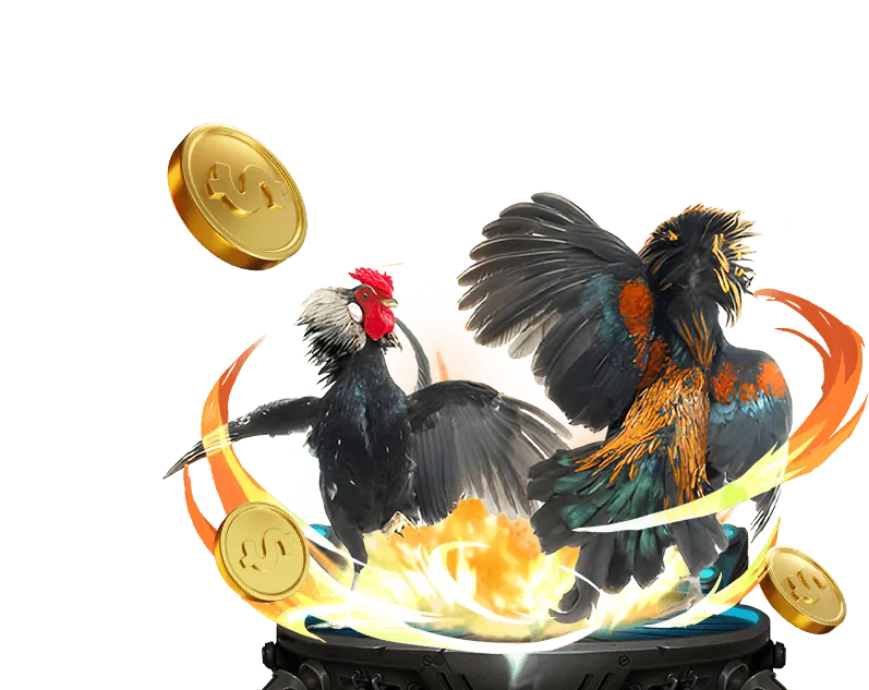 Các tính năng cần có của trang web Tài Xỉu